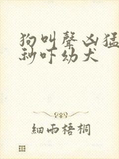 狗叫声凶猛60秒吓幼犬