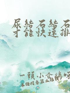 尿结石结石怎么才能快速排出来