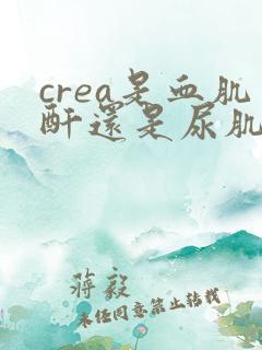 crea是血肌酐还是尿肌酐