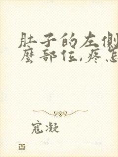 肚子的左侧是什么部位,疼怎么回事呢