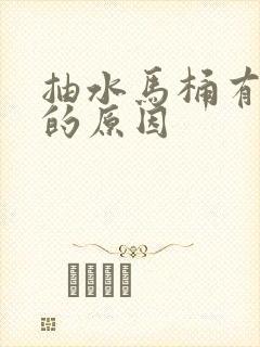 抽水马桶有臭味的原因