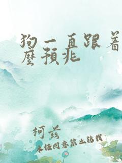 狗一直跟着我什么预兆