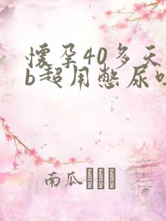 怀孕40多天做b超用憋尿吗