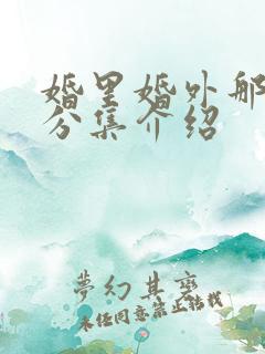 婚里婚外那些事分集介绍