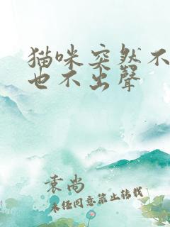 猫咪突然不叫唤也不出声