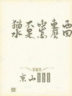 猫不吃东西吐黄水是怎么回事