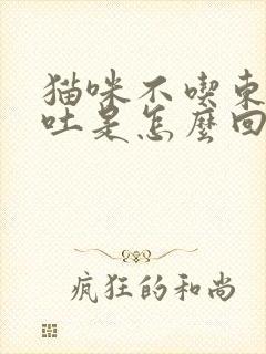 猫咪不吃东西还吐是怎么回事