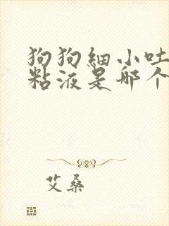 狗狗细小吐白色粘液是哪个阶段