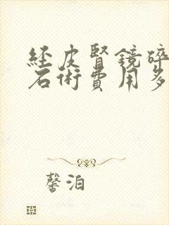 经皮肾镜碎石取石术费用多少?