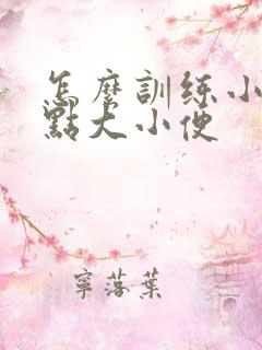 怎么训练小狗定点大小便