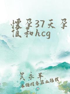 怀孕37天孕酮值和hcg