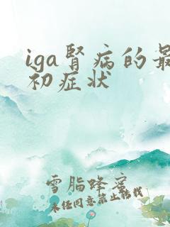 iga肾病的最初症状