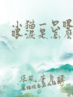 小猫一只眼睛流眼泪是怎么回事