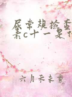 尿常规检查维生素c十一是什么意思