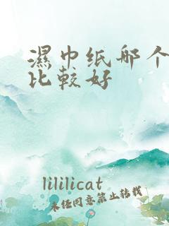 湿巾纸哪个牌子比较好