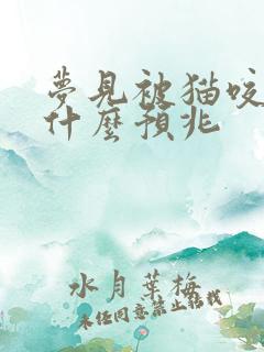 梦见被猫咬了是什么预兆