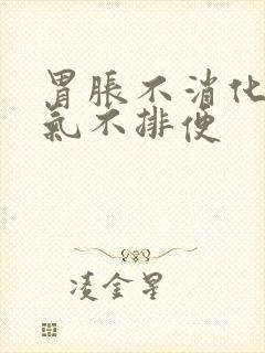 胃胀不消化不排气不排便