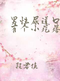 男性尿道口下面有个小疙瘩