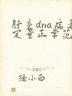 肝炎dna病毒定量正常范围多少啊