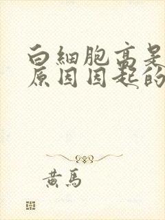 白细胞高是什么原因因起的