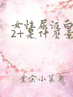 女性尿液白细胞2+是什么意思