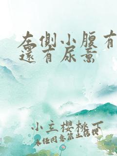 左侧小腹有点胀还有尿意