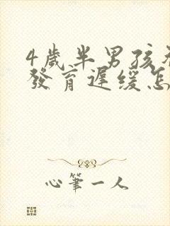 4岁半男孩智力发育迟缓怎么治疗