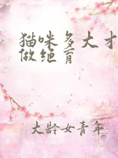 猫咪多大才可以做绝育