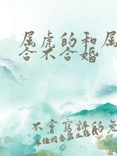 属虎的和属兔的合不合婚