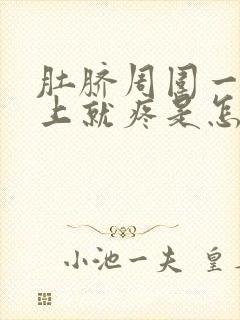 肚脐周围一到晚上就疼是怎么回事