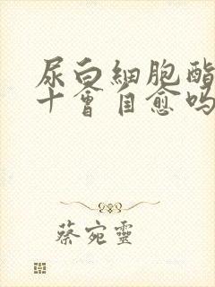 尿白细胞酯酶1十会自愈吗