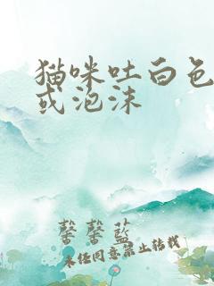 猫咪吐白色黏液或泡沫