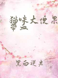 猫咪大便果冻状带血