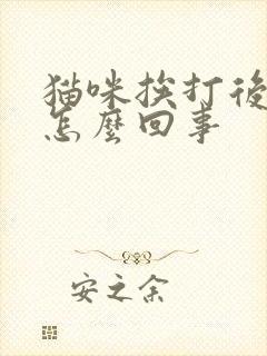 猫咪挨打后呕吐怎么回事