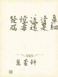 发烧流清鼻涕是病毒还是细菌