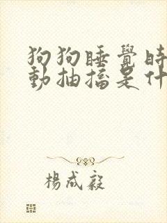 狗狗睡觉时候抖动抽搐是什么原因