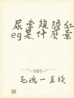 尿常规胆红素neg是什么意思