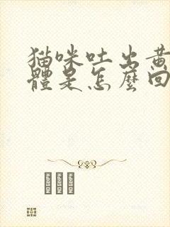 猫咪吐出黄色液体是怎么回事