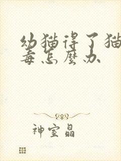 幼猫得了猫瘟病毒怎么办