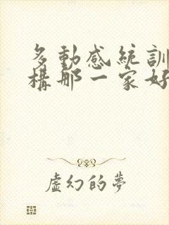 多动感统训练机构那一家好