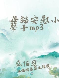 母猫安慰小猫的声音mp3