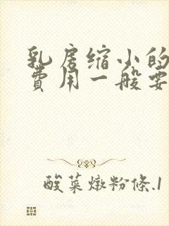 乳房缩小的手术费用一般要多少钱