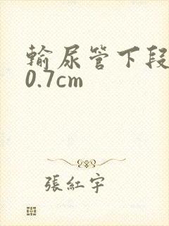 输尿管下段结石0.7cm
