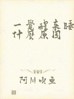 一觉醒来睡不着什么原因