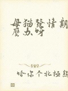 母猫发情期该怎么办呀