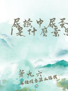 尿检中尿蛋白+1是什么意思