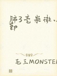 肺3毫米微小结节