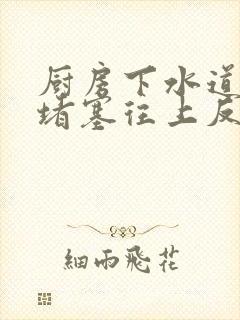 厨房下水道弯管堵塞往上反水