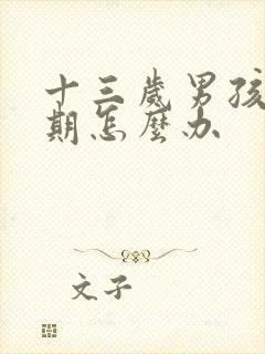 十三岁男孩叛逆期怎么办