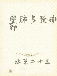 双肺多发微小结节